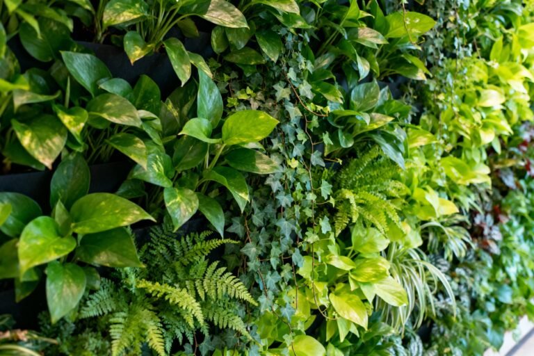 How to Build a Stunning Vertical Garden at Home