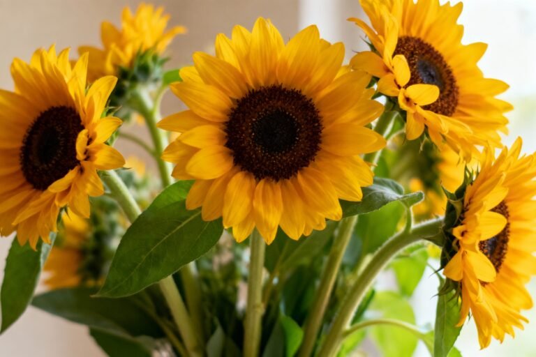Sunflower Bouquet Ideas for Bright and Cheerful Floral Arrangements