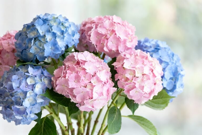 Hydrangea Bouquet Ideas for Elegant, Timeless Floral Arrangements