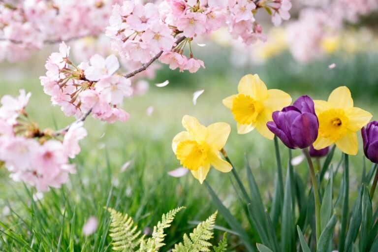 Spring Flowers Guide: Best Varieties for a Colorful Season