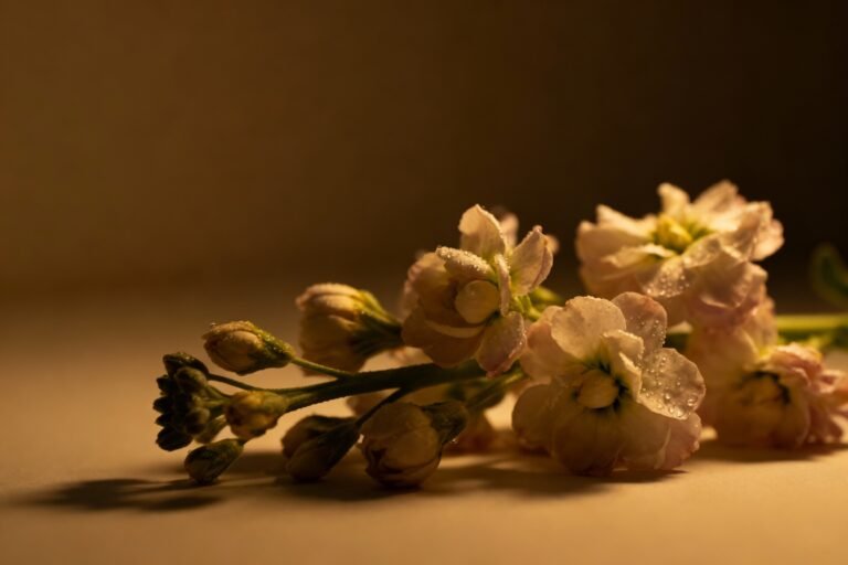 Good Night Flowers: Elegant Blooms for Evening Inspiration