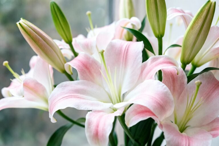 Elegant Lily Bouquet Designs to Inspire Your Floral Arrangements